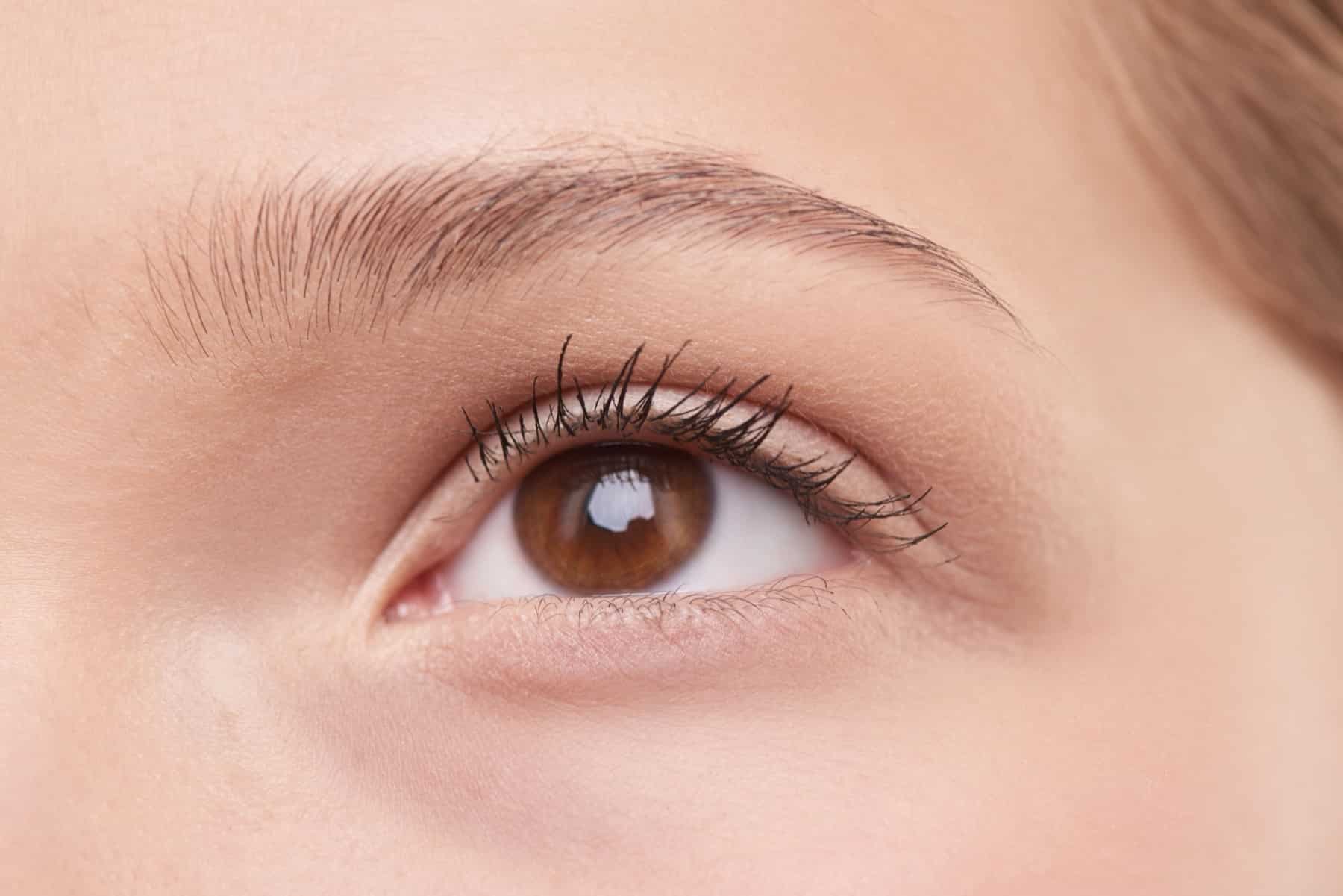 Eyebrow Restoration Woman's face, natural brows
